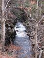Op weg naar de Invermoriston Falls (10)